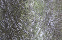 Pondersbridge fibreglass roof work